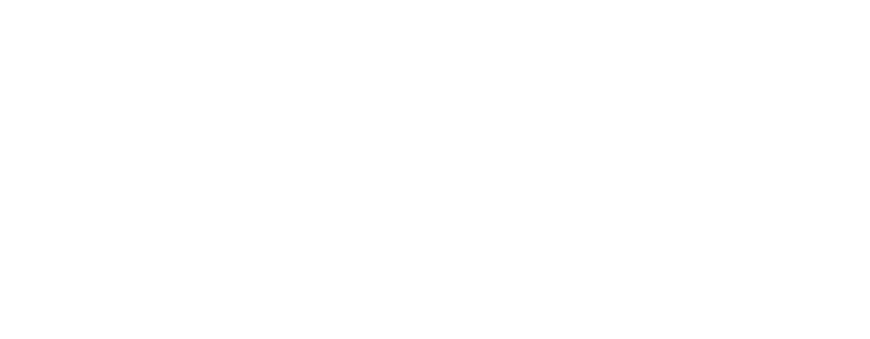 Ruckus Wireless